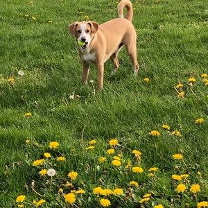 Meet your Posher, Kelsey